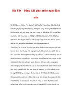 làng nghề truyền thống Hà Tây - Động Giã phát triển nghề làm nón pdf