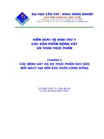 Các bệnh gây ra do thực phẩm súc sản_Mối nguy hại đến sức khỏe cộng đồng potx