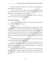 PHẦN MỀM THIẾT KẾ VÀ CHẤM ĐIỂM TỰ ĐỘNG BIỂU MẪU THI TRẮC NGHIỆM - 10 pot