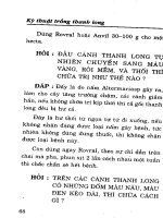 Hỏi đáp về kỹ thuật trồng cây thanh long theo phương pháp mới part 7 pps
