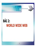 BÀI GIẢNG: WORLD WIDE WEB pps