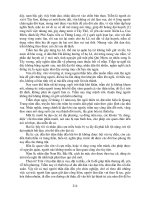 Thiên tài quận sự Nguyễn Huệ phần 7 potx