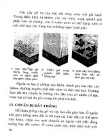 Cẩm nang kỹ thuật nhân giống cây part 8 docx