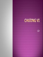LÝ THUYẾT ĐỒ THỊ - CHƯƠNG VI - CÂY docx