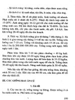 450 Giống cây trồng mới năng suất cao tập 2 part 10 pps