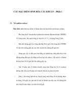 CÁC ĐẶC ĐIỂM SINH HÓA CẦU KHUẨN – Phần 1 ppt