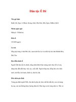 Dân tộc Ê Đê - Tên gọi khác Rađê, Đê, Kpa potx