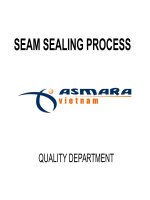 Gói Seam sealing ppt