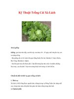 Kỹ Thuật Trồng Cải Xà Lách potx