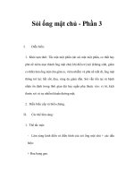 Sỏi ống mật chủ - Phần 3 ppt