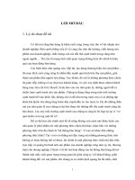 các giải pháp hoàn thiện hoạt động bán hàng tại chi nhánh showroom tp. hồ chí minh của công ty cổ phần tân thành đô city ford