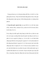 TIẾN HÓA HÓA HỌC pot