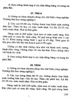 450 Giống cây trồng mới năng suất cao tập 2 part 8 ppsx