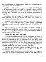 Biện pháp sử dụng nông dược an toàn và hiểu quả part 2 ppsx