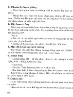 Cây có củ và kỹ thuật thâm canh (Cây sắn) part 10 pot
