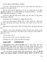 Biện pháp sử dụng nông dược an toàn và hiểu quả part 4 pptx