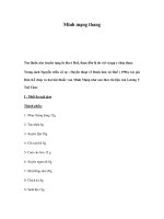 Minh mạng thang pptx