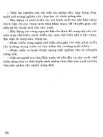 Cây có củ và kỹ thuật thâm canh (Cây sắn) part 3 pptx