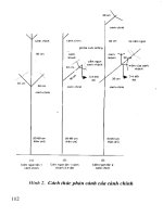 Cây mắc ca part 8 potx