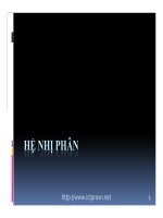Hệ nhị phân pdf