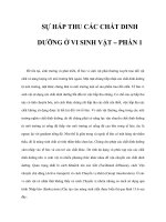 SỰ HẤP THU CÁC CHẤT DINH DƯỠNG Ở VI SINH VẬT – PHẦN 1 pdf