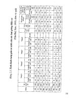 Cây mắc ca part 3 pot
