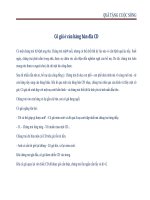 QUÀ TẶNG CUỘC SỐNG phần 4 pot