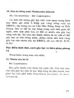 Phòng trị côn trùng và nhện gây hại cây ăn trái (Xoài) part 9 ppsx