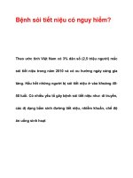 Bệnh sỏi tiết niệu có nguy hiểm? pptx