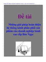 Đề tài: Những giải pháp hoàn thiện hệ thống kênh phân phối sản phẩm của doanh nghiệp bánh cao cấp Bảo Ngọc doc