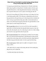 Giáo trình sự hình thành của thị trường chứng khoán trong những ngày đầu phát triển p1 pps