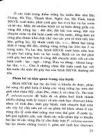 Bệnh héo rũ hại cây trồng cạn, biện pháp phòng chống part 4 pot