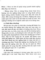 Cẩm nang chăn nuôi ngan ngỗng part 8 pot