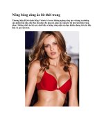 Nóng bỏng cùng áo lót thời trang pptx