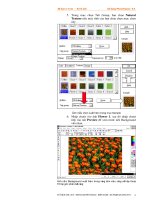 Quá trình hình thành giáo trình giới thiệu về softimage và phương pháp sử dụng p6 pptx