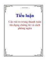 Tiểu luận: Các rủi ro trong thanh toán tín dụng chứng từ và cách phòng ngừa pot