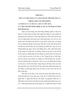 Một số giải pháp mở rộng hoạt động cho vay tiêu dùng tại ngân hàng cổ phần quốc tế VIB