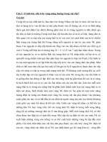 Vật liệu đại cương pps