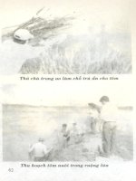 46 Câu hỏi đáp về sản xuất giống và nuôi tôm càng xanh part 7 pdf