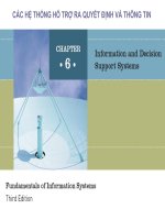 CÁC HỆ THỐNG HỖ TRỢ RA QUYẾT ĐỊNH VÀ THÔNG TIN pps