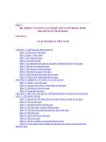 HỆ THỐNG VĂN BẢN LUẬT PHÁP VIỆT NAM TRONG KINH DOANH XUẤT NHẬP potx