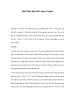 Giới thiệu một số lò rượu Cognac potx