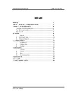 Thiết kế hệ thống Sấy băng tải để Sấy trà