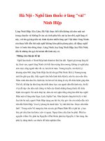 LÀNG NGHỀ TRUYỀN THỐNG HÀ NỘI - Nghề làm thuốc ở làng pdf