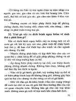 81 Câu hỏi đáp về chăn nuôi gà công nghiệp part 4 pot