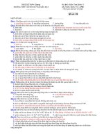 Trường THPT chuyên Huỳnh Mẫn Đạt - đề thi sinh học 11 căn bản (đề số 149) pdf