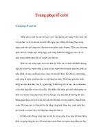 Trang phục lễ cưới - hỏi pps