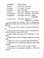 Kỹ thuật chọn tạo và trồng cây Cam Quýt part 2 ppsx