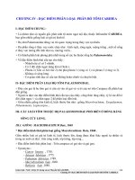 Giáo trình - Ngư loại II (Giáp xác &Nhuyễn thể)-p1-chuong 4 pptx