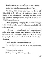 Áp dụng kỹ thuật mới trong ấp trứng gia cầm part 5 pot
